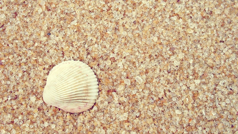 清醒而不烂俗的走心情绪文案_wishdown.com 清醒而不烂俗的走心情绪文案_wishdown.com