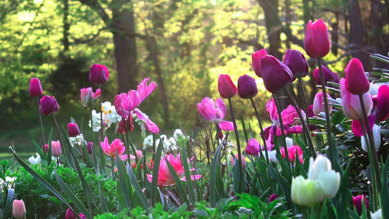 清醒而不烂俗的走心情绪文案_wishdown.com 清醒而不烂俗的走心情绪文案_wishdown.com