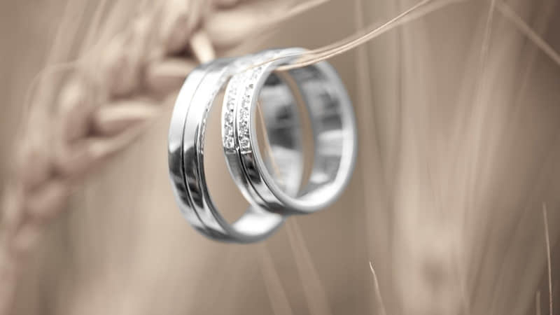 清醒而不烂俗的走心情绪文案_wishdown.com 清醒而不烂俗的走心情绪文案_wishdown.com