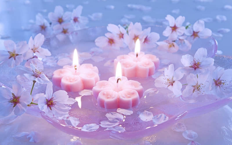 清醒而不烂俗的走心情绪文案_wishdown.com 清醒而不烂俗的走心情绪文案_wishdown.com