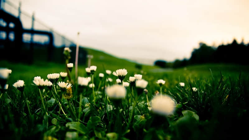 “早上这样发,温暖带光,100%被赞爆”