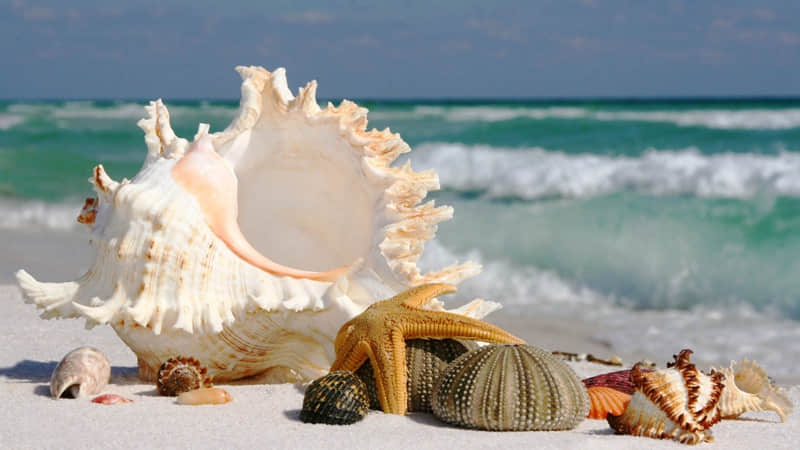 “???降温??这样发??,笑死朋?友?圈????”_wishdown.com “???降温??这样发??,笑死朋?友?圈????”_wishdown.com