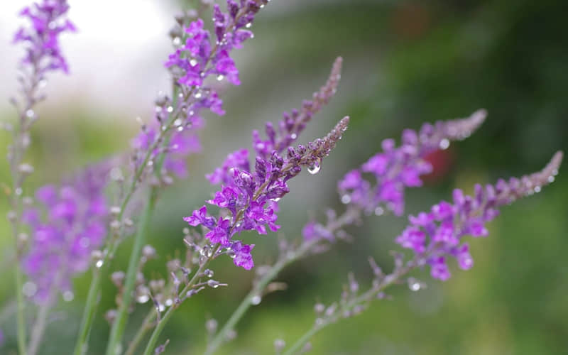 “???降温??这样发??,笑死朋?友?圈????”_wishdown.com “???降温??这样发??,笑死朋?友?圈????”_wishdown.com