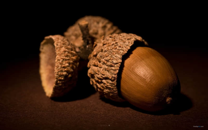 “???降温??这样发??,笑死朋?友?圈????”_wishdown.com “???降温??这样发??,笑死朋?友?圈????”_wishdown.com