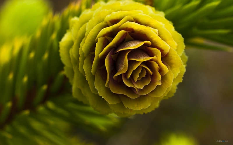 “???降温??这样发??,笑死朋?友?圈????”_wishdown.com “???降温??这样发??,笑死朋?友?圈????”_wishdown.com