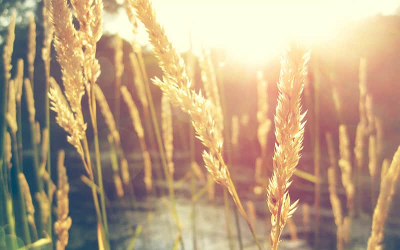 “度娘也寻不到的牛马句子,笑屎朋友圈”