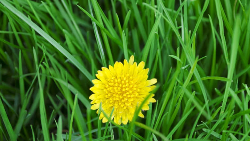 "叫老公已经过时了,现在流行这8种称呼"??