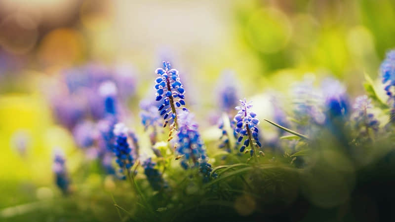 “心很贵,一定要装最美的东西”_wishdown.com “心很贵,一定要装最美的东西”_wishdown.com