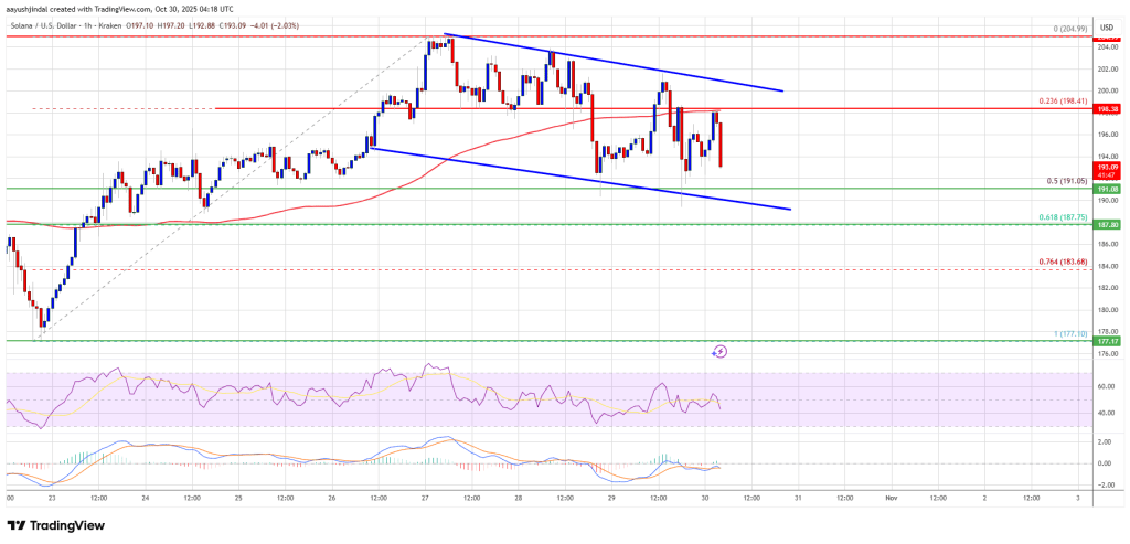 Solana (SOL) 下跌至支撑位附近——有望反弹