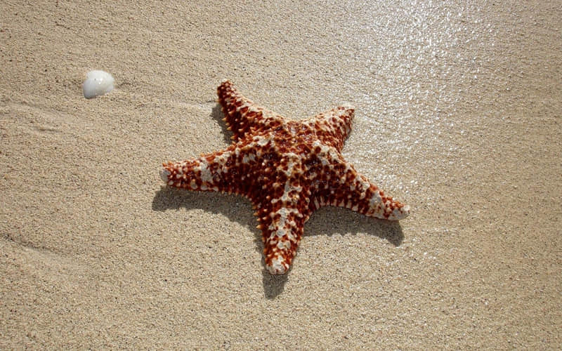 “每天记一句,半月后成为幽默王”_wishdown.com “每天记一句,半月后成为幽默王”_wishdown.com