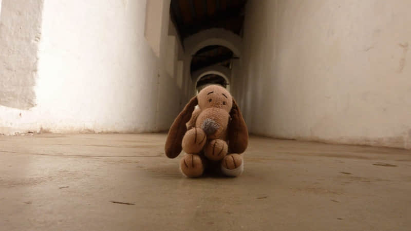 “成年人的通透,句句清醒”_wishdown.com “成年人的通透,句句清醒”_wishdown.com