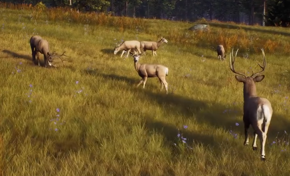 猎人之路钓鱼玩法全解析_wishdown.com 猎人之路钓鱼玩法全解析_wishdown.com