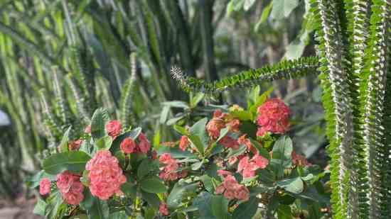 魔域游戏好听的名字_微笑掩盖悲伤