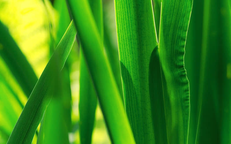 “成年人的朋友圈,就该这样发!”