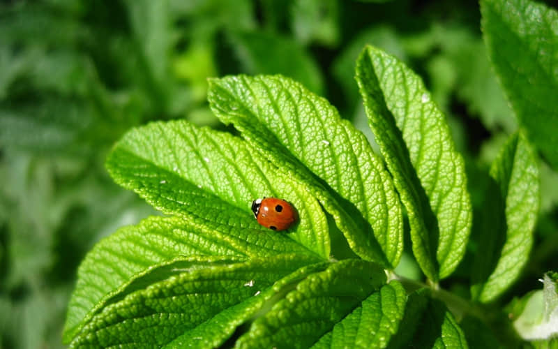 “你走后,我活成了你的样子(遗憾退场)”_wishdown.com “你走后,我活成了你的样子(遗憾退场)”_wishdown.com