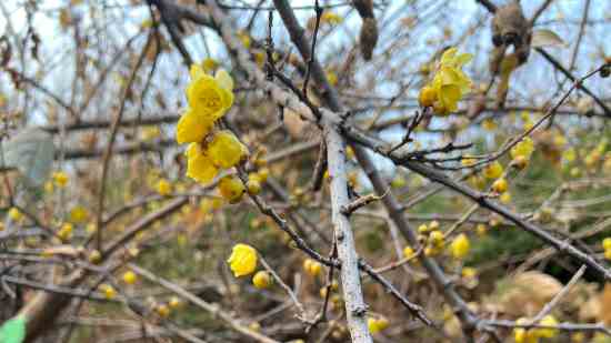天涯明月刀男生名字超拽_wishdown.com 天涯明月刀男生名字超拽_wishdown.com