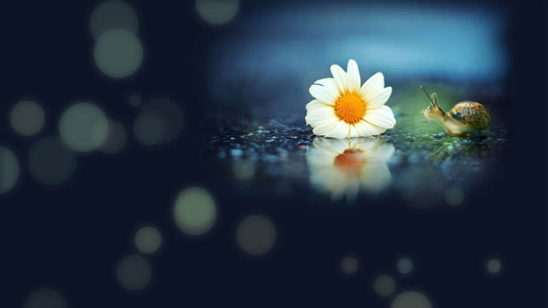 “天气降温了这样发,笑晕你的朋友圈”_wishdown.com “天气降温了这样发,笑晕你的朋友圈”_wishdown.com