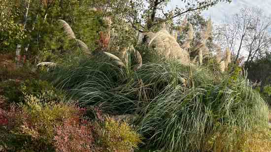 绝地求生个性战队名字大全