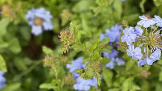 好听的lol战队名字_wishdown.com 好听的lol战队名字_wishdown.com