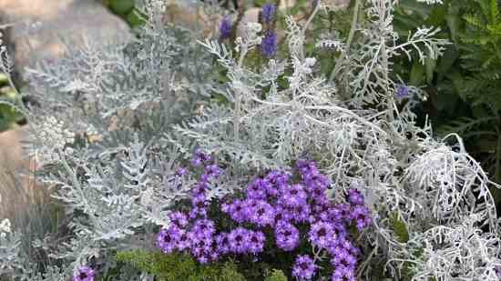 好听的lol战队名字