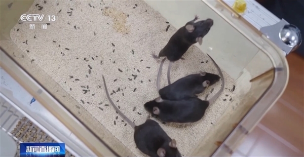 大红屏!神21发射圆满成功:准确进入预定轨道_wishdown.com 大红屏!神21发射圆满成功:准确进入预定轨道_wishdown.com