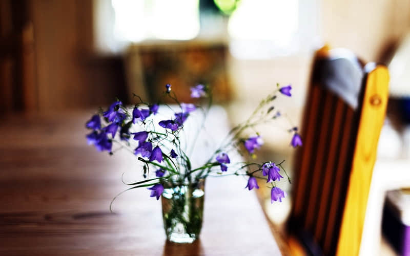 “你越幽默,他越上头”_wishdown.com “你越幽默,他越上头”_wishdown.com