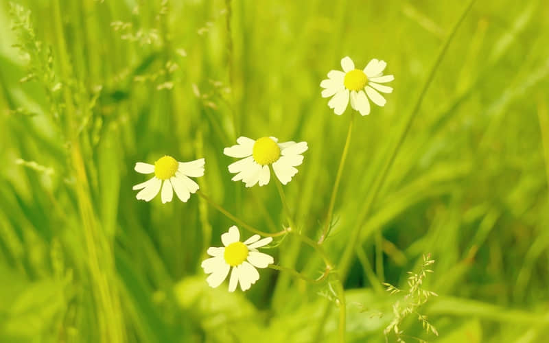 “疲惫的你,就这么发圈~”_wishdown.com “疲惫的你,就这么发圈~”_wishdown.com