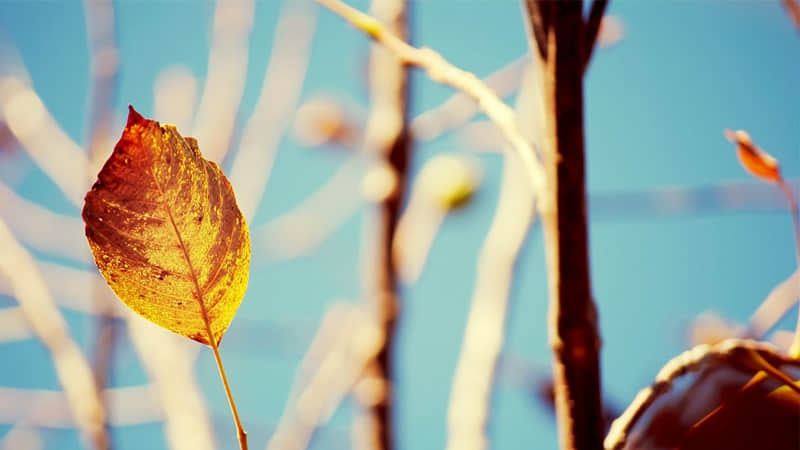 “申请成为你的微信置顶短句!”_wishdown.com “申请成为你的微信置顶短句!”_wishdown.com