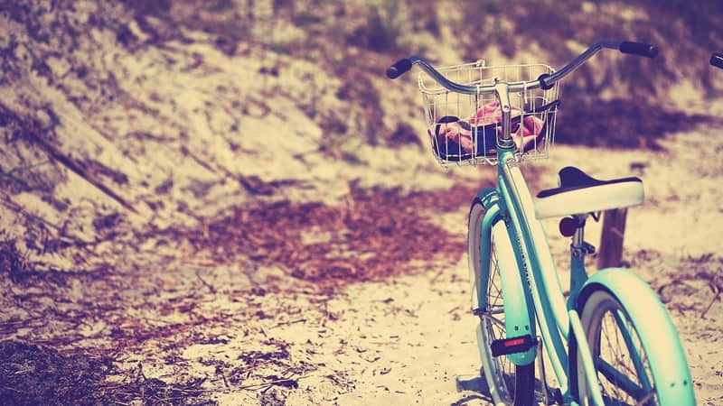 “牛马人这样发,笑得乳腺都通畅了”_wishdown.com “牛马人这样发,笑得乳腺都通畅了”_wishdown.com