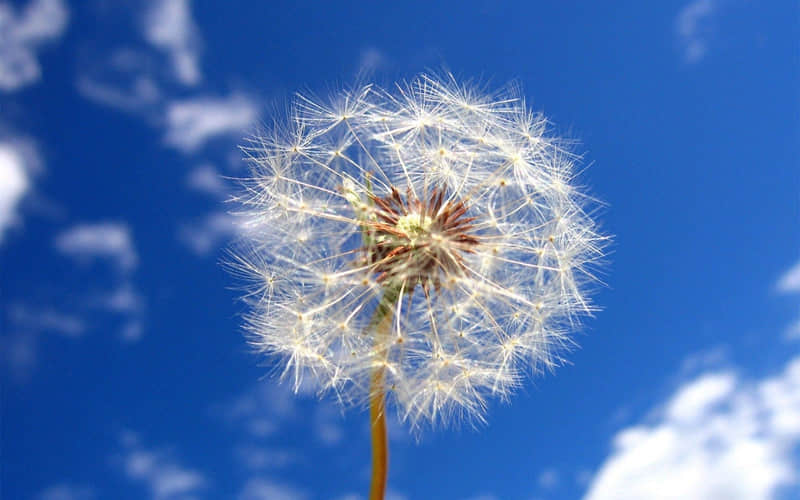 “文案很短快乐很长”_wishdown.com “文案很短快乐很长”_wishdown.com