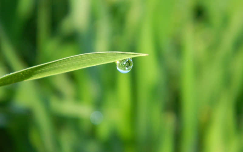 “文案很短快乐很长”_wishdown.com “文案很短快乐很长”_wishdown.com