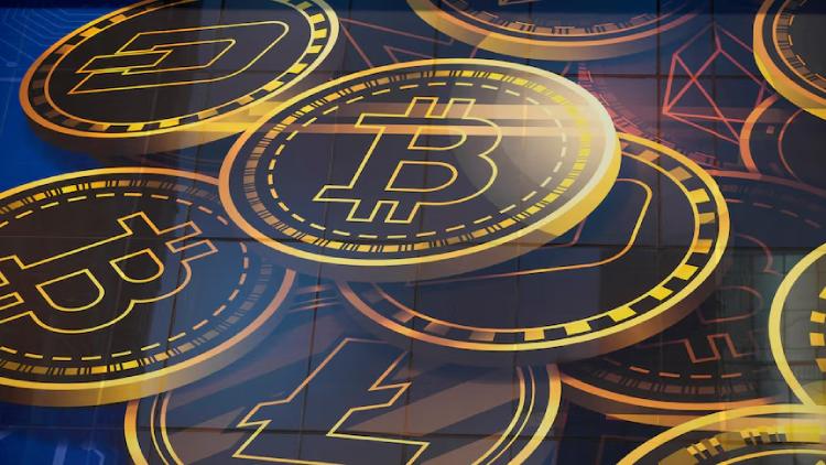 ʲôɽկҼ??2025ܻгת