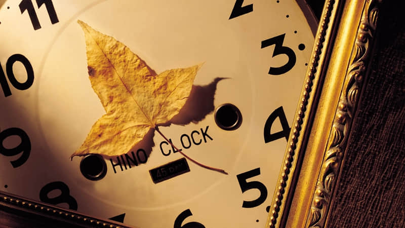 “成年人无奈心酸的文案”_wishdown.com “成年人无奈心酸的文案”_wishdown.com