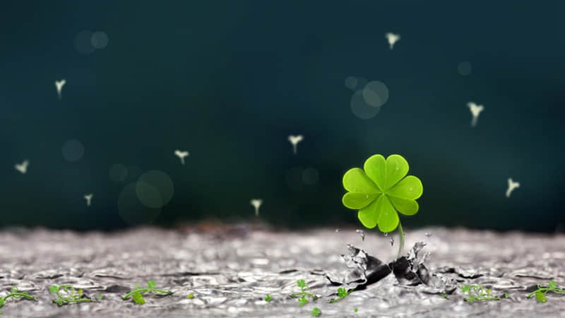 “日子长长 总会如愿以偿”|朋友圈文案_wishdown.com “日子长长 总会如愿以偿”|朋友圈文案_wishdown.com