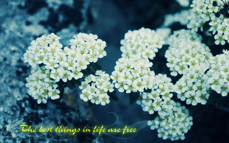 “重阳节 发一条不一样的暖心文案”_wishdown.com “重阳节 发一条不一样的暖心文案”_wishdown.com