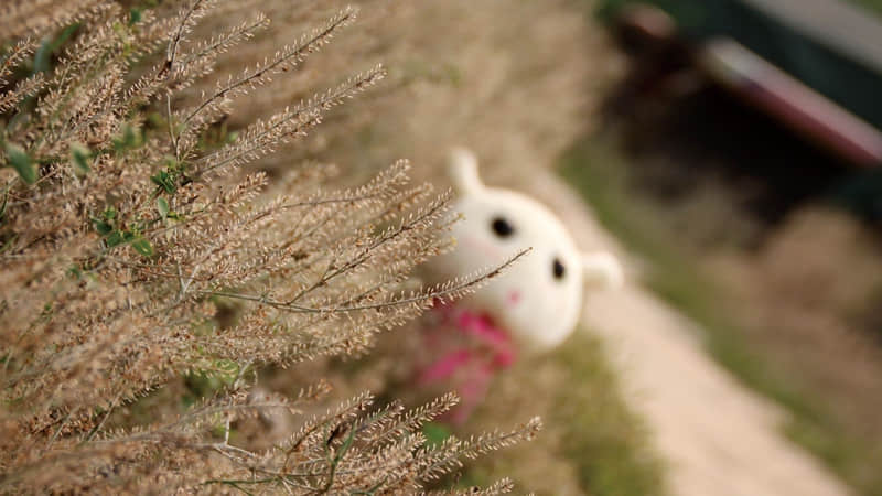 "阴阳怪气的歇后语,背下来,怼人时用"_wishdown.com "阴阳怪气的歇后语,背下来,怼人时用"_wishdown.com