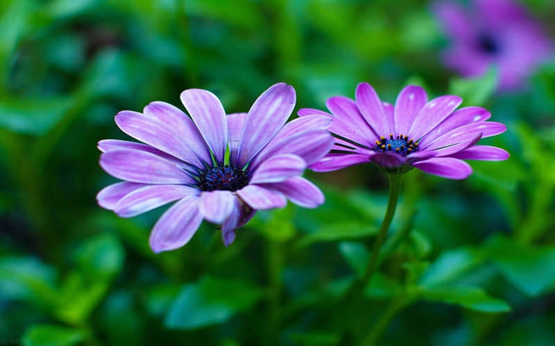 “出轨率最高的7个职业”_wishdown.com “出轨率最高的7个职业”_wishdown.com