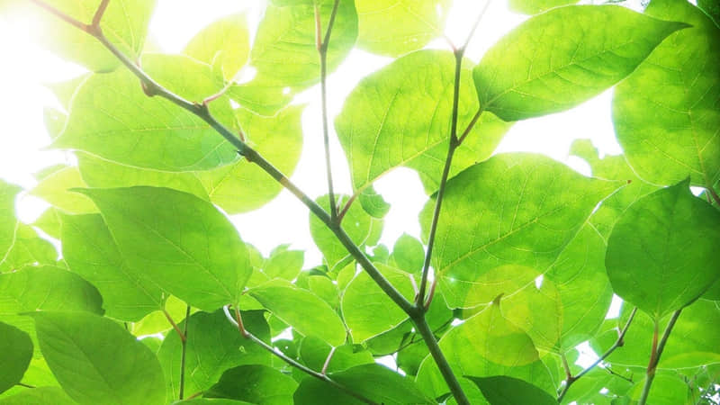 “句子很短,句句真理!”_wishdown.com “句子很短,句句真理!”_wishdown.com