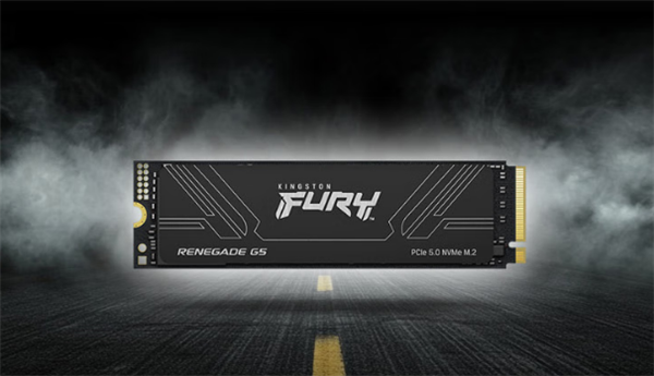 金士顿FURY Renegade G5大容量SSD上市:8TB版本首发6399元_wishdown.com 金士顿FURY Renegade G5大容量SSD上市:8TB版本首发6399元_wishdown.com