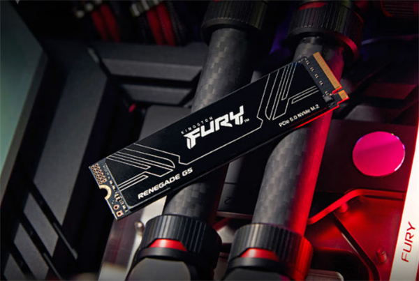 金士顿FURY Renegade G5大容量SSD上市:8TB版本首发6399元_wishdown.com 金士顿FURY Renegade G5大容量SSD上市:8TB版本首发6399元_wishdown.com