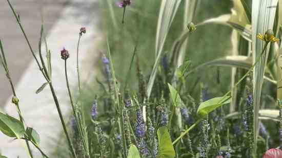 lol搞笑的名字 好玩有趣的lol游戏名_wishdown.com lol搞笑的名字 好玩有趣的lol游戏名_wishdown.com