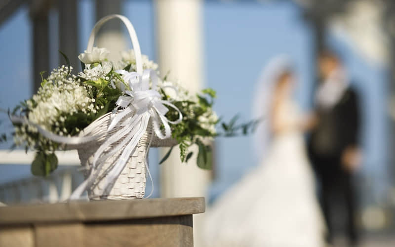 2?2?/??.????一种很新的十一月朋友圈_wishdown.com 2?2?/??.????一种很新的十一月朋友圈_wishdown.com