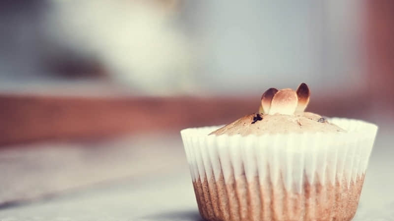 2?2?/??.????一种很新的十一月朋友圈_wishdown.com 2?2?/??.????一种很新的十一月朋友圈_wishdown.com