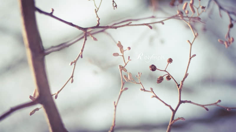 “央视文案才是顶级文案,句句经典,温柔有力量”_wishdown.com “央视文案才是顶级文案,句句经典,温柔有力量”_wishdown.com