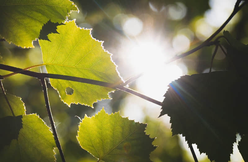 “11月1号,朋友圈就这样发”??_wishdown.com “11月1号,朋友圈就这样发”??_wishdown.com