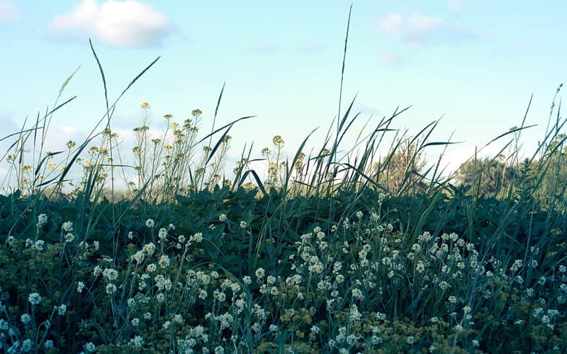 “有内涵的女人,发的情绪句子”_wishdown.com “有内涵的女人,发的情绪句子”_wishdown.com