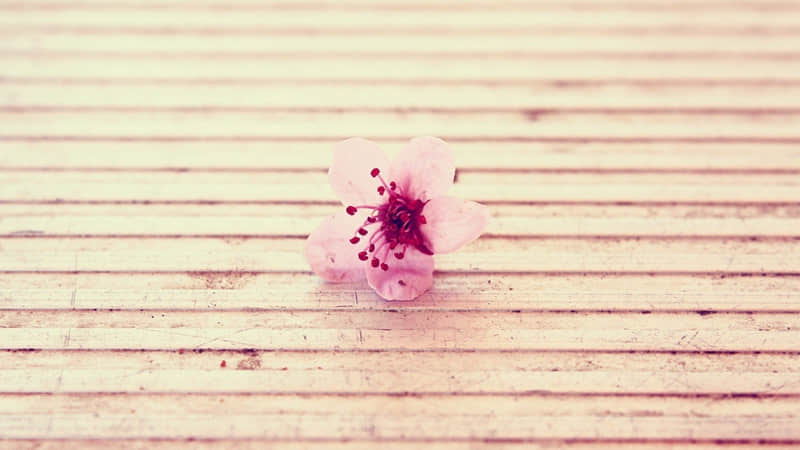 “有内涵的女人,发的情绪句子”_wishdown.com “有内涵的女人,发的情绪句子”_wishdown.com