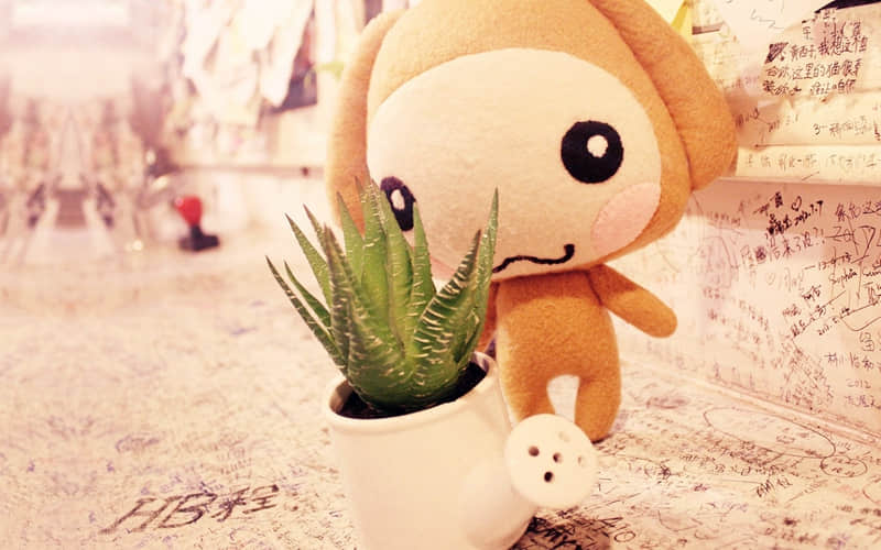 “笑到停不下来的搞笑句子~”_wishdown.com “笑到停不下来的搞笑句子~”_wishdown.com