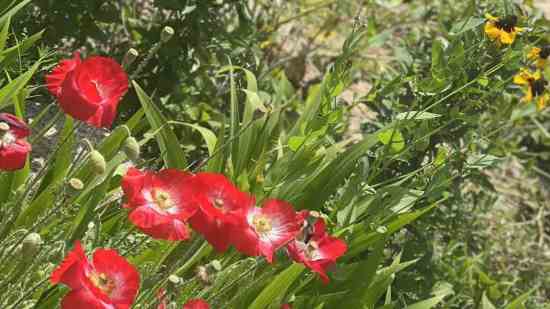 街头篮球3个字游戏名字_wishdown.com 街头篮球3个字游戏名字_wishdown.com