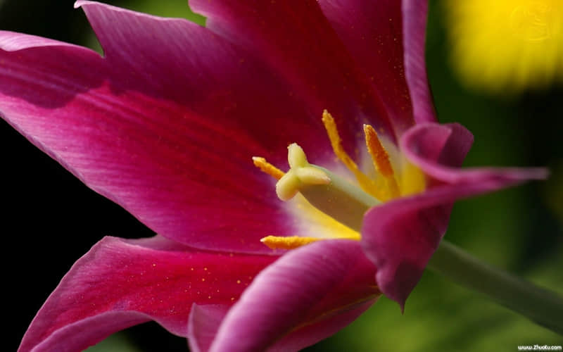 “朋友圈这样发,释怀不矫情,好好赚钱”_wishdown.com “朋友圈这样发,释怀不矫情,好好赚钱”_wishdown.com